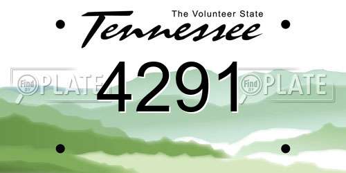 4291 Tennessee License Plate