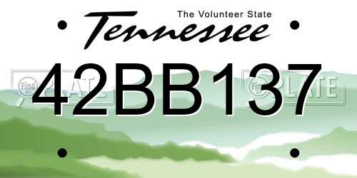42BB137 Tennessee License Plate