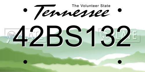 42BS132 Tennessee License Plate