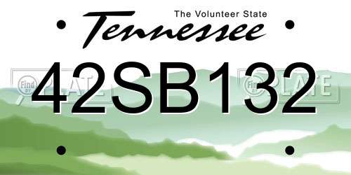 42SB132 Tennessee License Plate