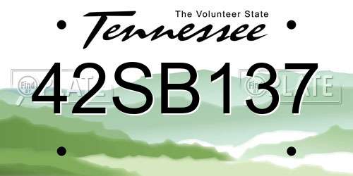 42SB137 Tennessee License Plate