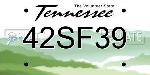 42SF39 Tennessee License Plate