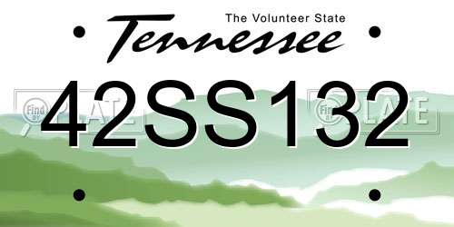 42SS132 Tennessee License Plate
