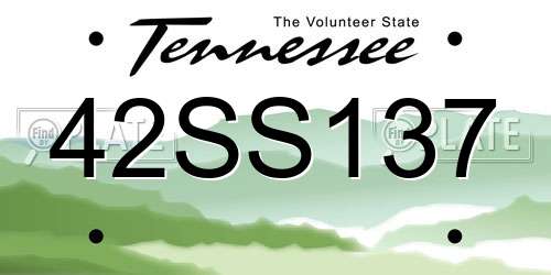 42SS137 Tennessee License Plate