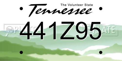 441Z95 Tennessee License Plate