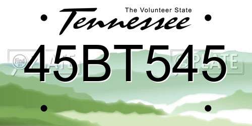 45BT545 Tennessee License Plate