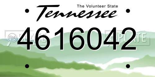 4616042 Tennessee License Plate