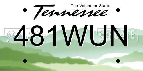 481WUN Tennessee License Plate