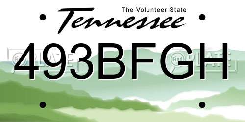 493BFGH Tennessee License Plate