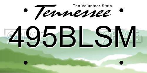 495BLSM Tennessee License Plate