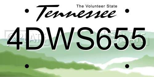 4DWS655 Tennessee License Plate