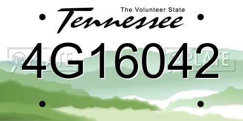 4G16042 Tennessee License Plate