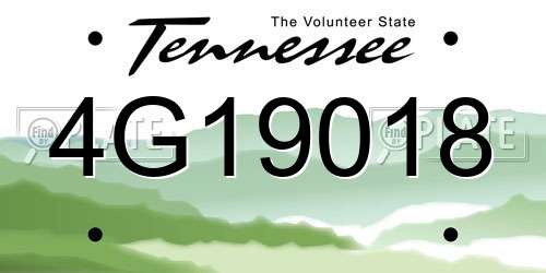 4G19018 Tennessee License Plate