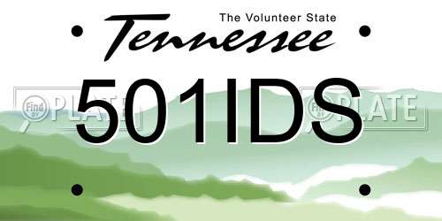 501IDS Tennessee License Plate