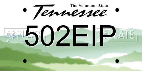 502EIP Tennessee License Plate