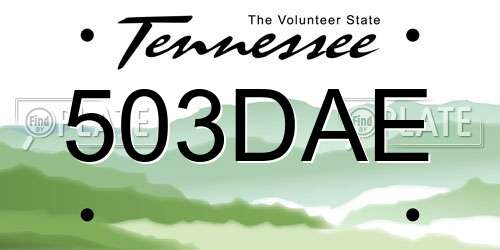 503DAE Tennessee License Plate