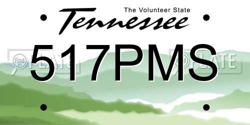 517PMS Tennessee License Plate