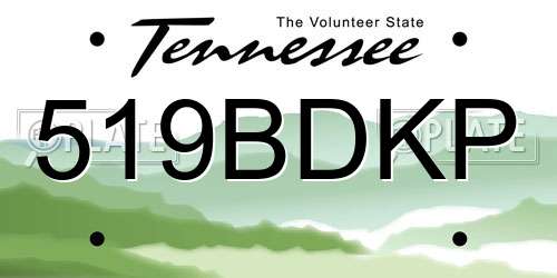 519BDKP Tennessee License Plate