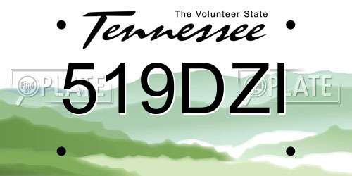 519DZI Tennessee License Plate