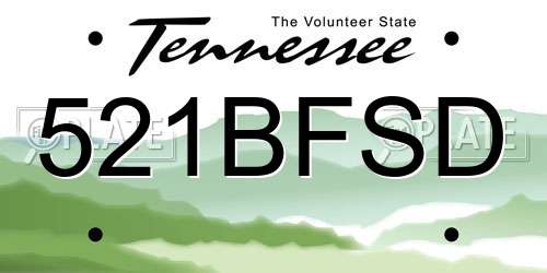 521BFSD Tennessee License Plate