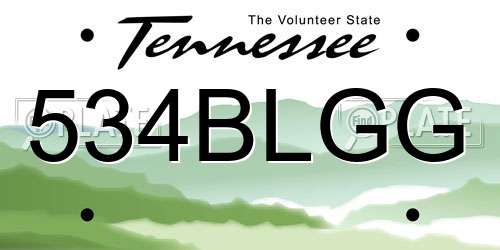 534BLGG Tennessee License Plate