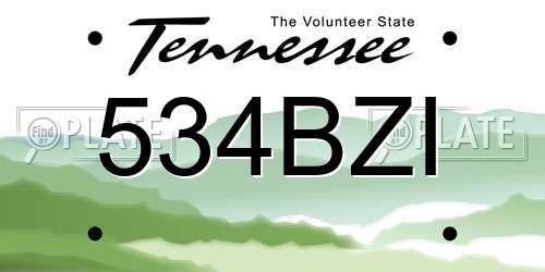 534BZI Tennessee License Plate