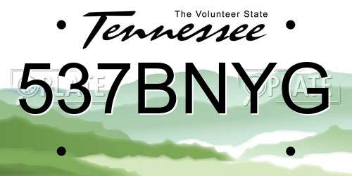 537BNYG Tennessee License Plate