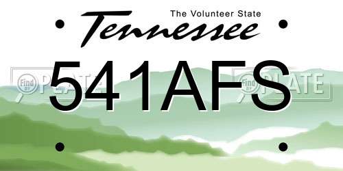 541AFS Tennessee License Plate