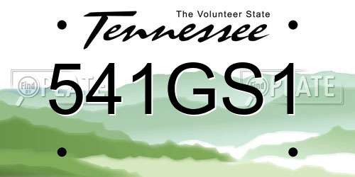 541GS1 Tennessee License Plate