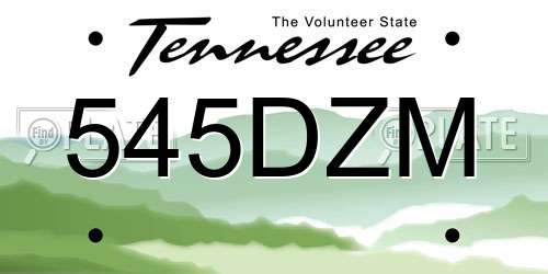 545DZM Tennessee License Plate