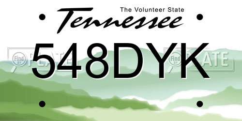 548DYK Tennessee License Plate