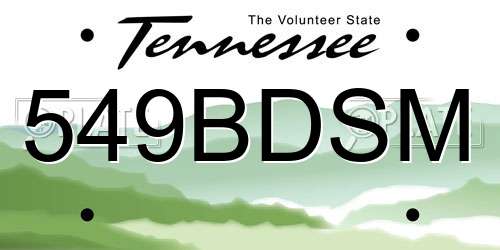 549BDSM Tennessee License Plate