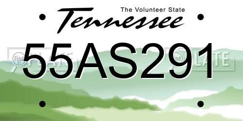 55AS291 Tennessee License Plate