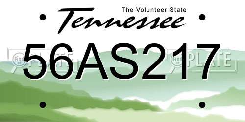56AS217 Tennessee License Plate