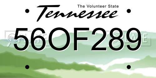 56OF289 Tennessee License Plate