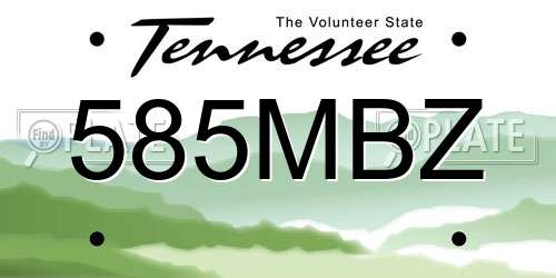 585MBZ Tennessee License Plate
