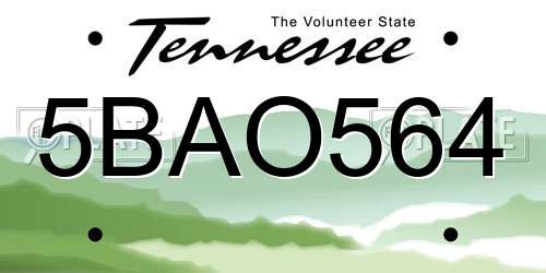 5BAO564 Tennessee License Plate
