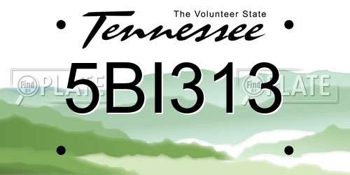 5BI313 Tennessee License Plate