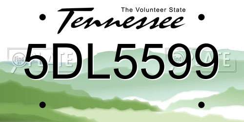 5DL5599 Tennessee License Plate
