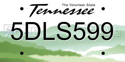 5DLS599 Tennessee License Plate