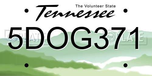 5DOG371 Tennessee License Plate