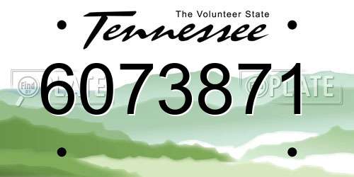 6073871 Tennessee License Plate