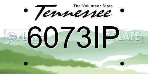 6073IP Tennessee License Plate
