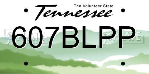 607BLPP Tennessee License Plate