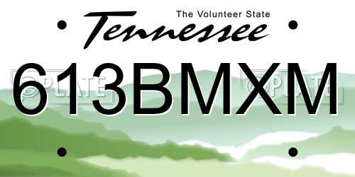 613BMXM Tennessee License Plate