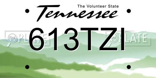 613TZI Tennessee License Plate