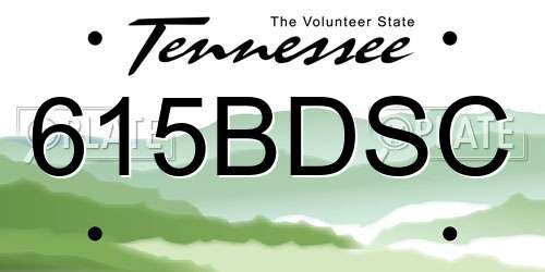 615BDSC Tennessee License Plate