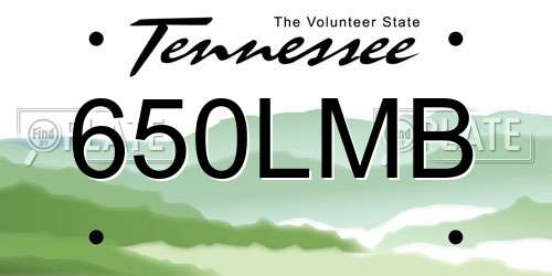 650LMB Tennessee License Plate