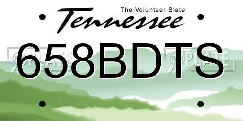 658BDTS Tennessee License Plate