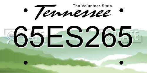 65ES265 Tennessee License Plate